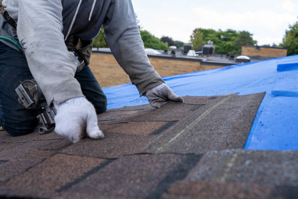 Best Residential Roofing Contractor  in Hollymead, VA