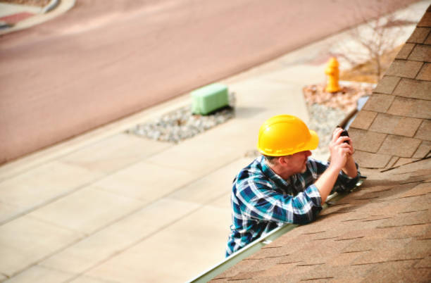 Best Roof Gutter Cleaning  in Hollymead, VA