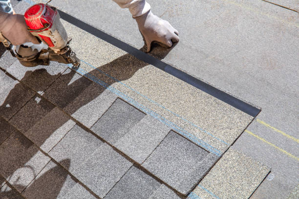 Best Roof Maintenance Services  in Hollymead, VA