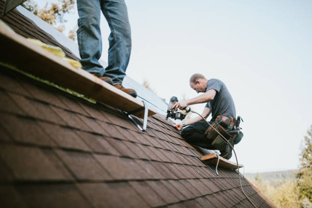 Quick and Trustworthy Emergency Roof Repair Services in Hollymead, VA